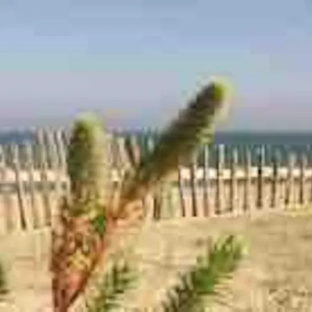 Torreilles-casa Terracota-proche - Les Deferlantes Le Barcares - South Of France *