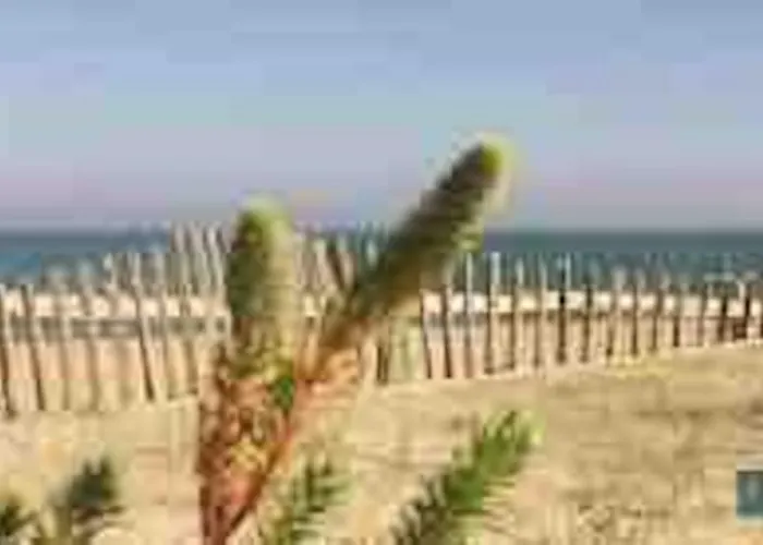 Torreilles-casa Terracota-plage - Perpignan- Village De Noel Le Barcares - South Of France *